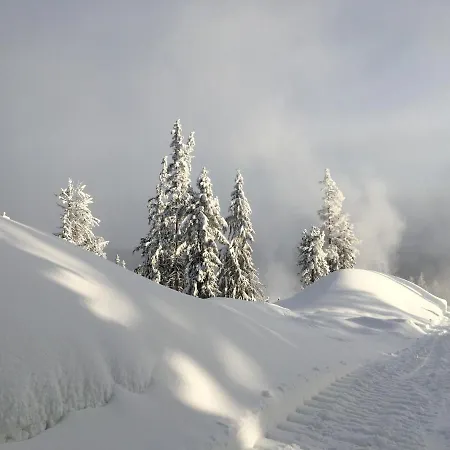 דירה Crocus 313 *