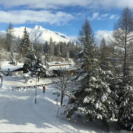 Crocus 313 * Štrbské Pleso