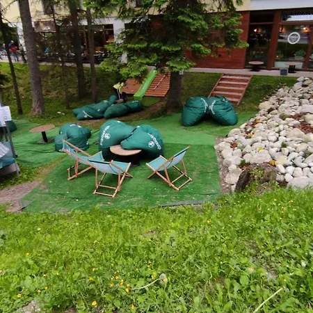 Crocus 313 Apartament
