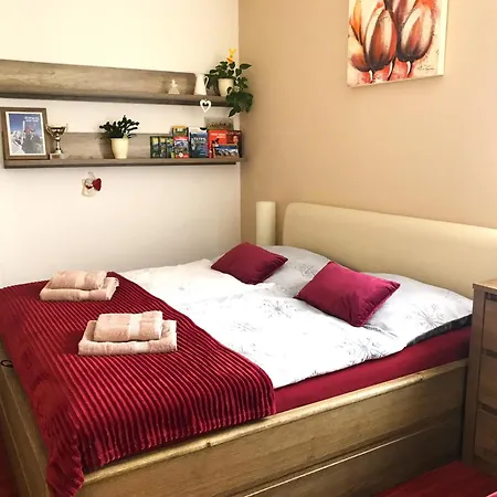 Crocus 313 Apartament *