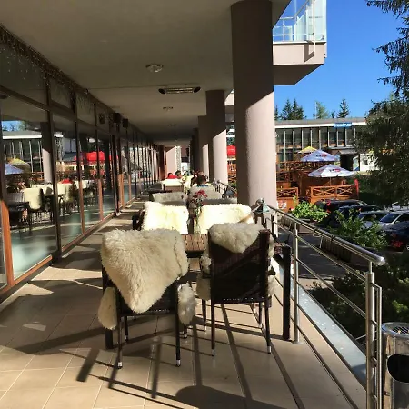 Crocus 313 * Štrbské Pleso