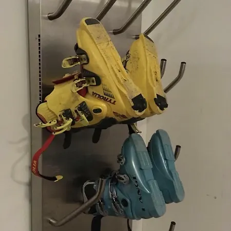 Crocus 313 Štrbské Pleso