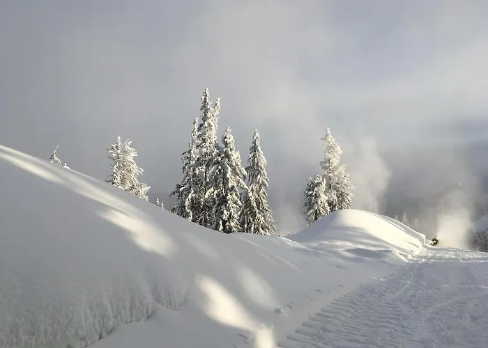 Lejlighed Crocus 313 *