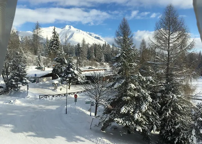 Crocus 313 * Štrbské Pleso