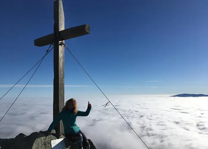 Crocus 313 Štrbské Pleso