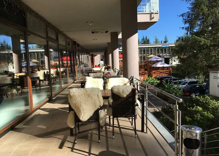 Crocus 313 * Štrbské Pleso