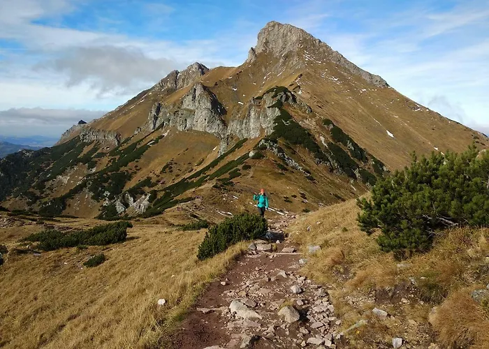 Crocus 313 Štrbské Pleso