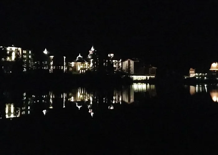 Crocus 313 * Štrbské Pleso