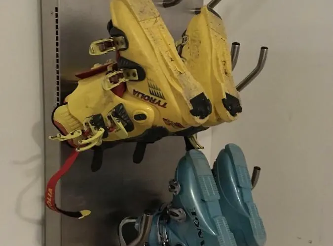 Crocus 313 Štrbské Pleso