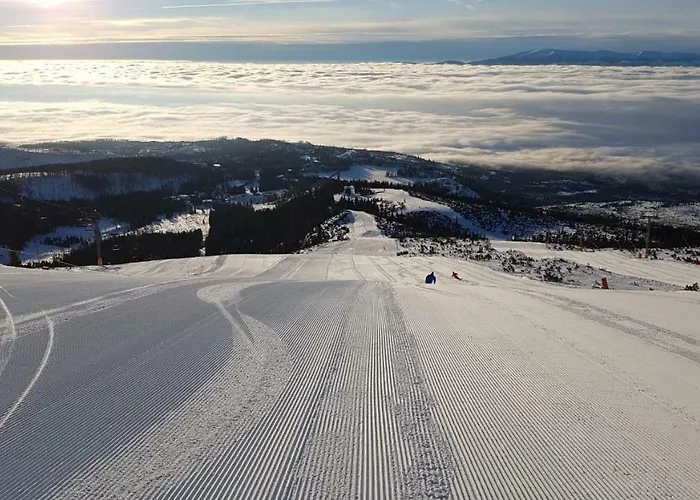 Lejlighed Crocus 313